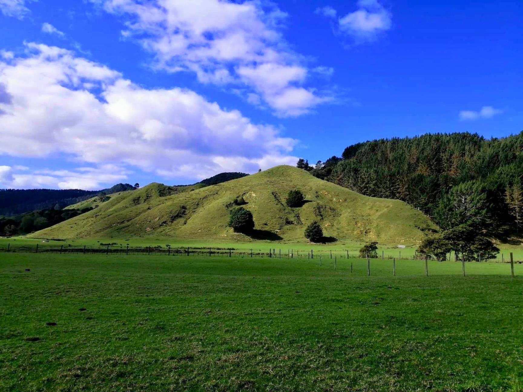 White Star Station Farm Holiday Park Coromandel Exterior photo